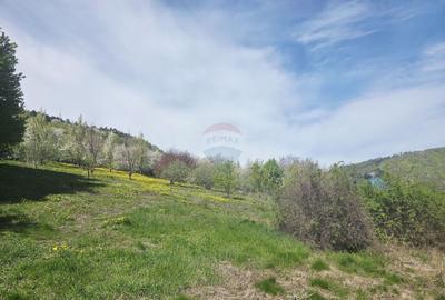 Teren 1,000mp Piatra-Neamt / Zona Fermelor - 4