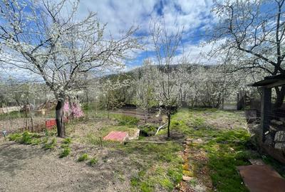 Locuinta in Ticu-Colonie (Casa de vacanta la un pret corect!) - 2