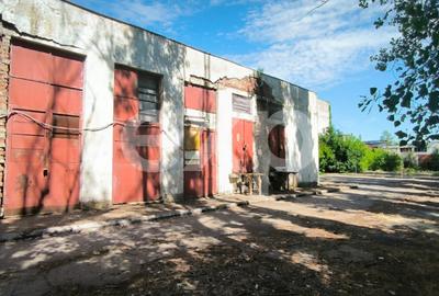GIURGIU | Hala 5.000 mp | Acces TIR | Parcare TIR | Inaltime 7m - 4