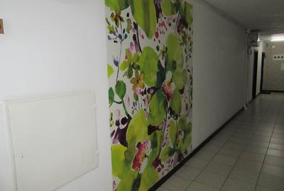 Vanzare 2 camere Iancu de Hunedoara–Pta Victoriei - Guvern -ideal Regim Hotelier - 32