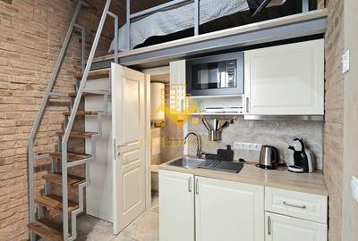 Studio tip loft, UltraCentral, Piața Muzeului, Piața Mihai Viteazul - 4