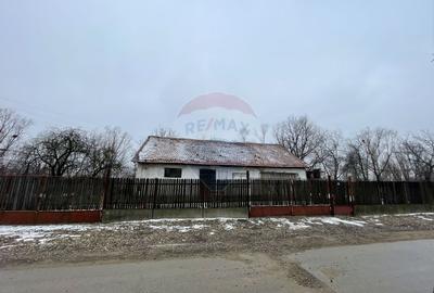 Teren intravilan de 1247 mp, în Nedelea