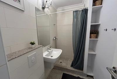 Unirii - Bd Natiunile Unite - apartament renovat - 7