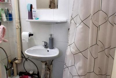 Garsoniera de vanzare, Dambul Rotund, 22 mp - 9