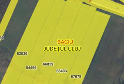 De vanzare - Teren de 6600 mp în Baciu - 3