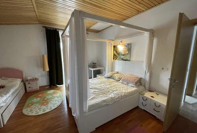 VILA P+1, Su = 350 mp.Teren 2000 mp + ANEXA,la DN 65- Valea Mare - 19