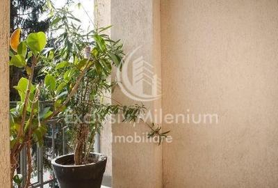 La Vila Birouri Decebal -Piata  Muncii Et 1+M - 15