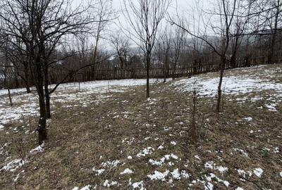 Teren 4652 mp cu izvor pe el, Lunca Mare, lângă păstrăvăria Doftana - 7