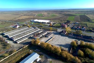 Platformă betonată de închiriat până la 6000 mp, Remetea Mare lângă A1 - 5