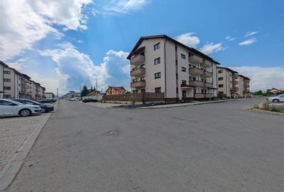 Inchiriem Apartament 2 Camere, Gradina 157 Mp, Mobilat, Decomandat, Sanpetru - 20