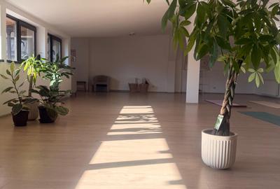 Studio sau birouri mansarda Universitate - strada Sfintilor 6 - 10