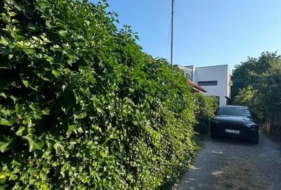 YSAIA IMOBILIARE - CASA DE VANZARE - TEREN 330 MP - ZONA LINISTITA - - 16