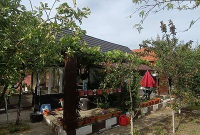 Casă de vanzare cu 4 camere 107 mpu pivnita anexe curte gradina Sebes - 14