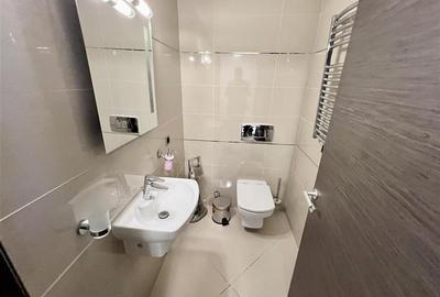 LUX. Penthouse in Silver Mountain - Poiana Brasov - 38