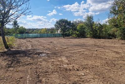 Teren Premium în Pasărea – 1.013 mp | Deschidere 22m | Oază de liniște - 2