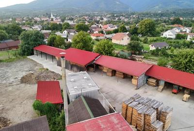 Fabrică de cherestea complet utilată & centru logistic - 3
