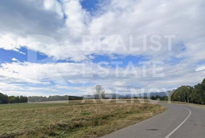 Teren intravilan 4,2 ha de vânzare| ideal investiție| POT 40%| Prahova - 6