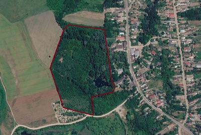 Giurgiu,Izvoru Vânatorii Mici,Domeniu privat de 6,3 H cu Lac, Izvoare și Insulă - 2