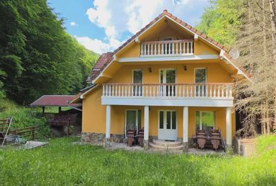 Casă/Pensiune,două imobile „într-unul singur” de vânzare,Bratca-CV0524 - 15