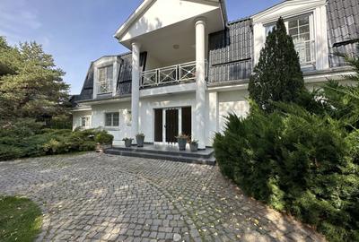 Vila individuala, teren 3000 mp, Iancu Nicolae - 6