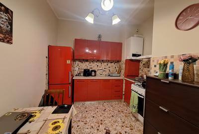 Apartament spatios cu 1 camera-complet renovat, mobilat si utilat-zona Traian - 9