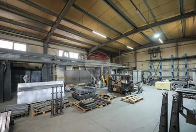 Hală în parc industrial Borș 1, teren 2.903 mp, de vânzare - 35