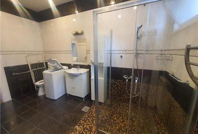 Imobil individual cu doua corpuri de cladire zona Parcului SubArini - 21