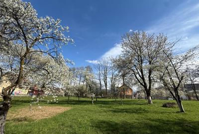Teren intravilan 1355 mp in zona Bran, judetul Brasov - 9