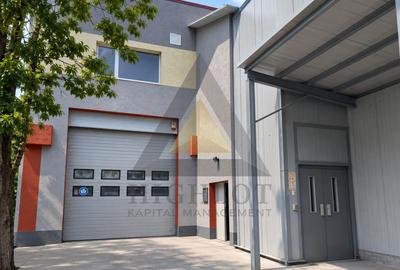 Industrial / Warehouse Space for Lease – Pielorex, Jilava - 1