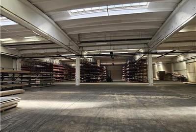 Spatiu Industrial - 4500 mp - Productie - Depozitare - Distributie - 12