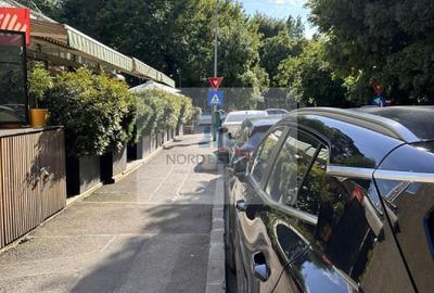Vila de inchiriat in Tineretului aproape de metrou - Parcul Carol - 15