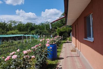 Vila, Republicii, Bacau - 4
