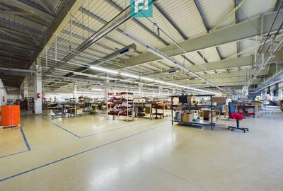 Spațiu Industrial și de Producție Sustenabil - 2
