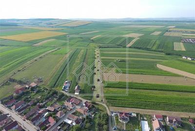 Teren Construcții intravilan de 430 mp, în Șura Mică