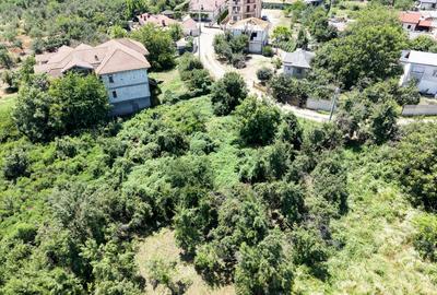Curte 3200 mp Bolintin Vale, intravilan, intre case - 19