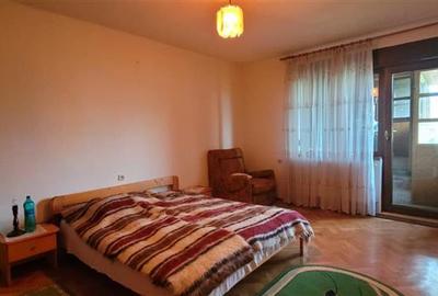 Casa individuala garaj pivnita curte superba Talmaciu - 14