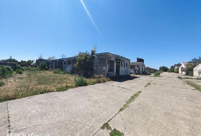 Spațiu industrial -fermă Orțișoara - 10