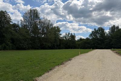 Teren intravilan  1000 mp zona Bran-Tohanita,langa padurela 10 km de Rasnov - 16