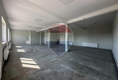 Spațiu comercial P+E 348.6 mp de închiriat, Giarmata, DJ691 - 4