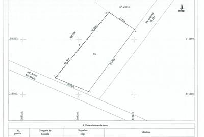 Intravilan 3120mp CU P+2+Mr | AC Spatii Comerciale | Str. Alunis x Codrului - 2