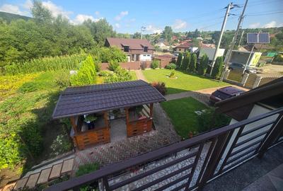 Casa in Luncani cu teren 5500 mp - 4