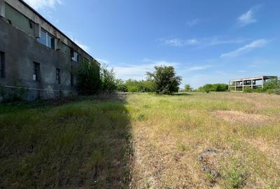 Teren Construcții intravilan de 13000 mp, în Brestei