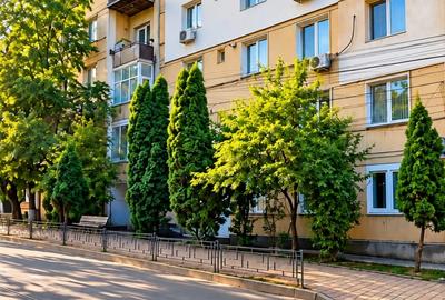 Apartament cu 2 camere decomandat în Arcu