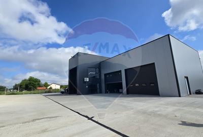 DE INCHIRIAT Hala industriala 596mp | Teren 2500mp | Buftea - 4