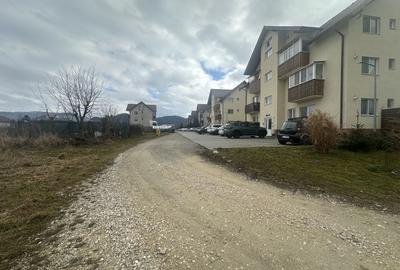 Teren Intravilan 1000 mp Rasnov - 3
