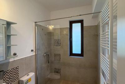 VANZARE CASA INDIVIDUALA/110MP UTILI/TEREN 550MP/DUMBRAVENI BALOTESTI - 19