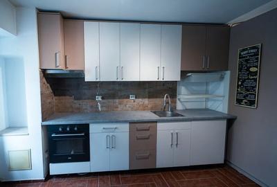 Calea Calarasilor-  Apartament 2 camere - 5