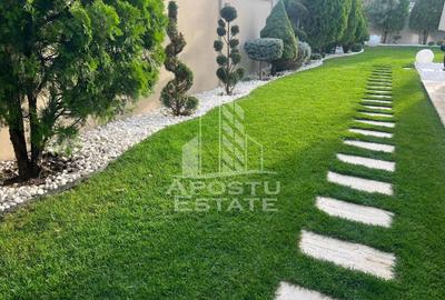 Vila de lux în Dumbrăvița cinci camere - 1