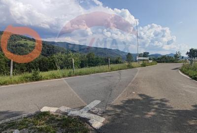 Teren 130000 mp extravilan, faneata si padure, Munteni - Bulz, Negreni - 10