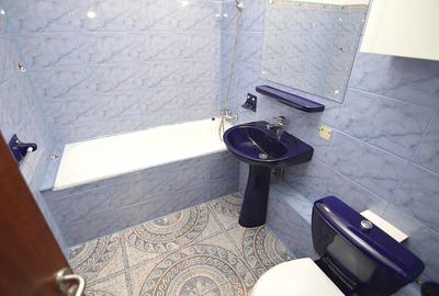 INCHIRIERE APARTAMENT 2 CAMERE CALEA CALARASILOR – HYPERION - 16
